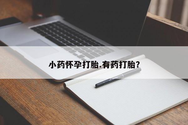 卖打胎药的微信小药怀孕打胎.有药打胎？