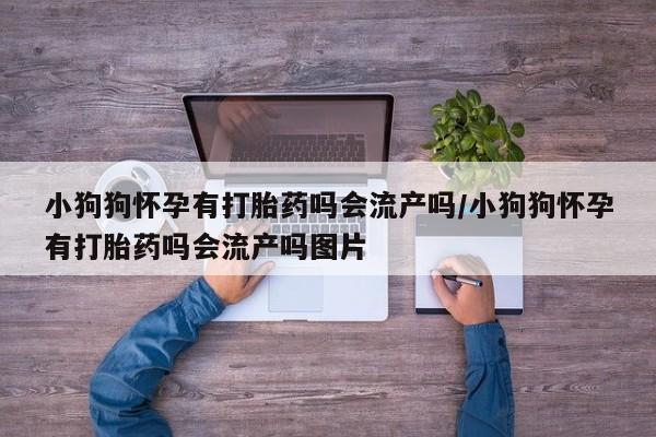 卖打胎药的微信小狗狗怀孕有打胎药吗会流产吗/小狗狗怀孕有打胎药吗会流产吗图片