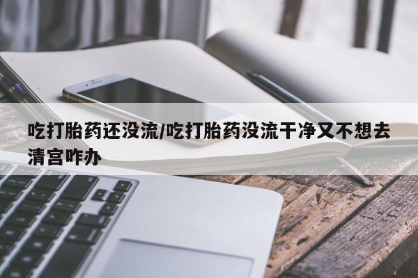 卖打胎药的微信吃打胎药还没流/吃打胎药没流干净又不想去清宫咋办