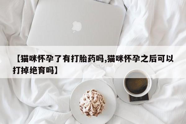 卖打胎药的微信【猫咪怀孕了有打胎药吗,猫咪怀孕之后可以打掉绝育吗】