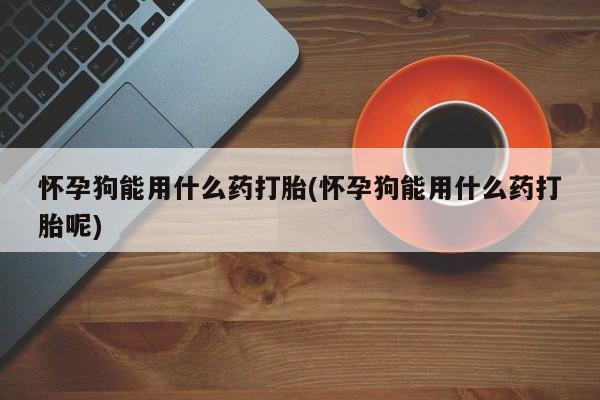 卖打胎药的微信怀孕狗能用什么药打胎(怀孕狗能用什么药打胎呢)