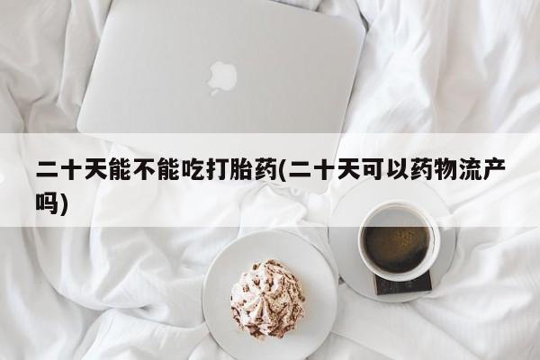 卖打胎药的微信二十天能不能吃打胎药(二十天可以药物流产吗)